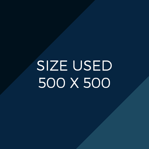 Back To The Future Tecmo Logo